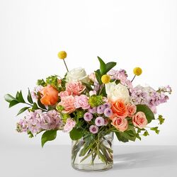  Market Boquete from Fabbrini's Flowers in Hoffman Estates, IL